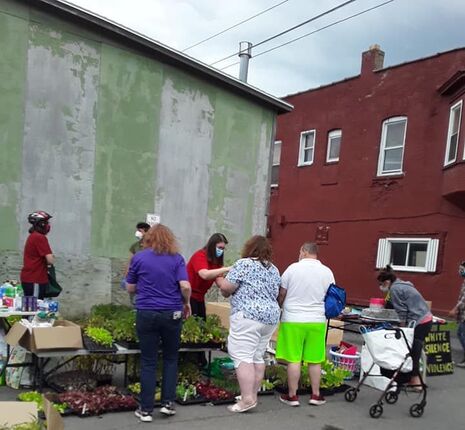A picture of the Free Market in summer 2020. It is outdoors in a parking lot. There are lots of plants. A sign reads 